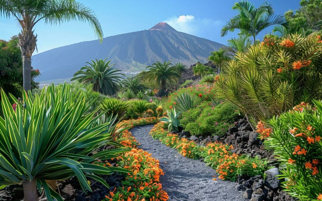 Voyage à Tenerife, l'île aux milles expériences